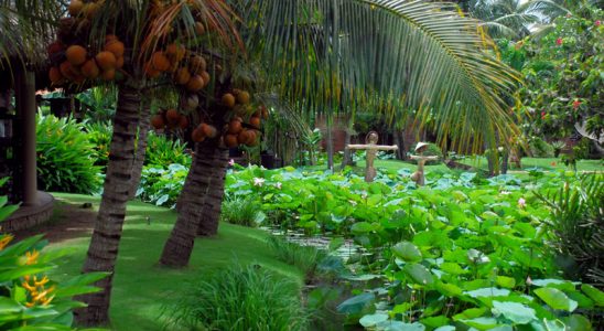 Ben tre