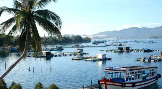tour-du-lich-vinh-long-rach-gia-ca-mau-trong-4-ngay-3-dem