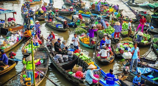 cho noi cai rang